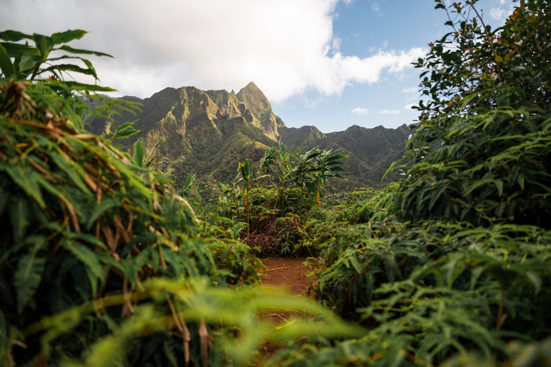 On the ridges of IOA  Valley hike